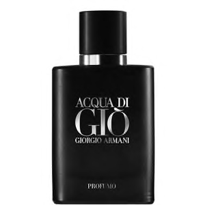ARMANI ACQUA DI GIO 40ML