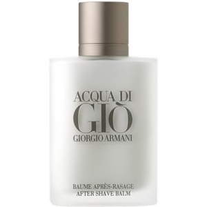 ARMANI ACQUA DI GIO (100ml)
