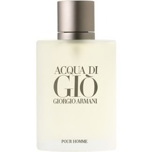 ARMANI ACQUA DI GIO HOMMES 100ML