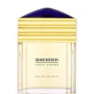 BOUCHERON HOMME EAU DE TOILETTE 100ML